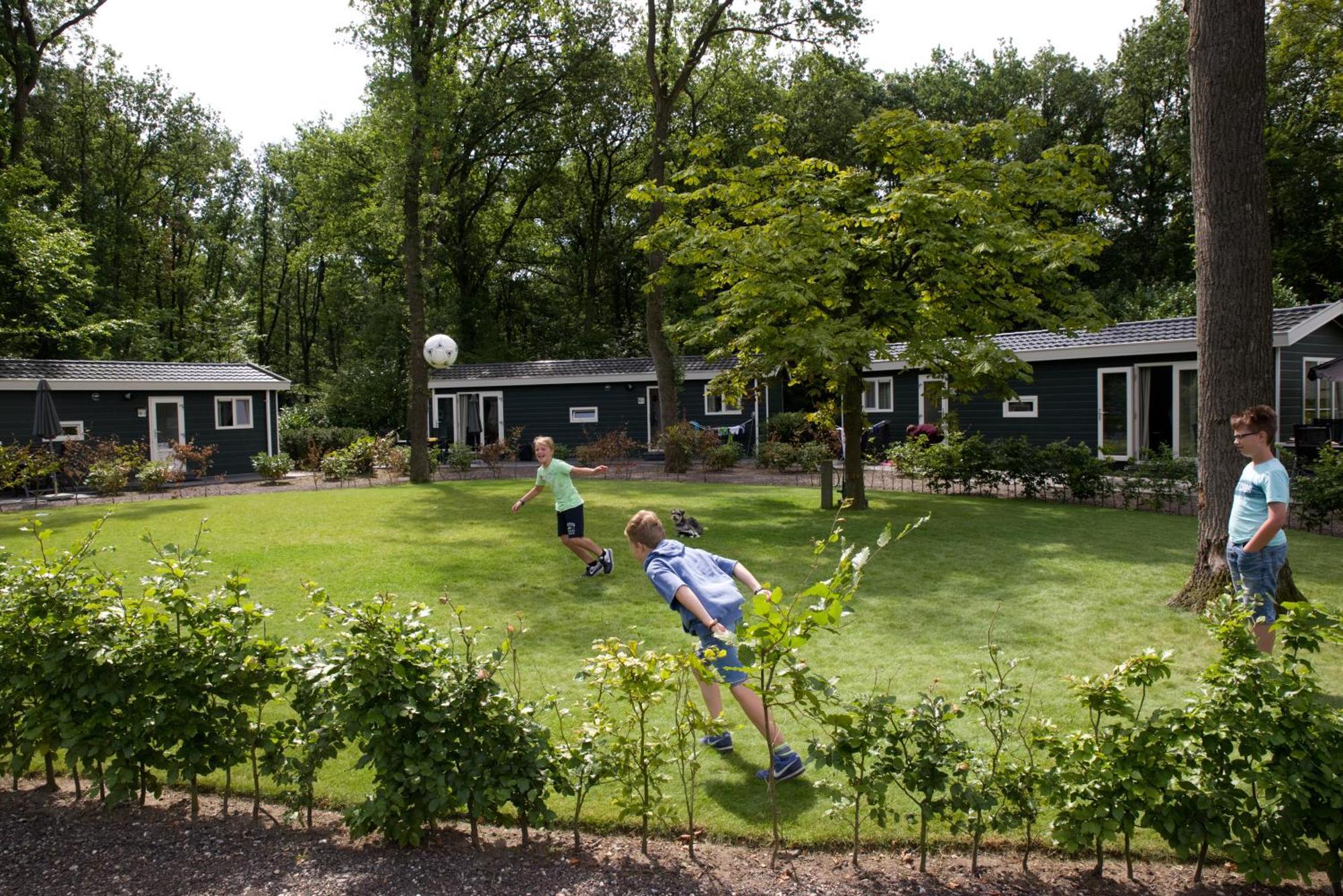 דורן Vakantiepark Bonte Vlucht מראה חיצוני תמונה